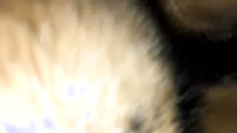 Petite GF With Hairy Pussy Getting Fucked Missionary