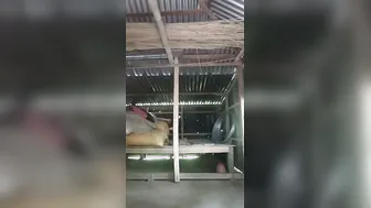 Village Wife Doing Striptease Dance For The Camera At Home