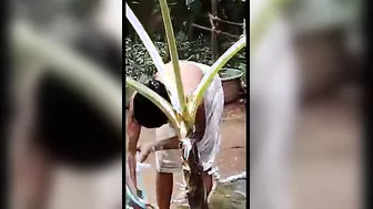 Secretly Recording My Lankan Wife Bathing Naked In Backyard