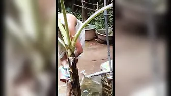 Secretly Recording My Lankan Wife Bathing Naked In Backyard