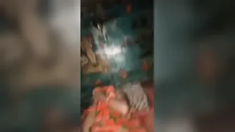 Super Cute Village Girl Exposing Her Hairy Pussy On Camera