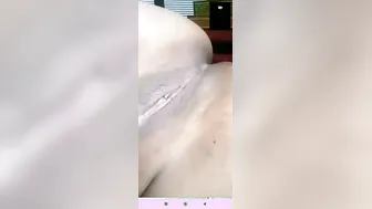 My Thick GF Stripping Naked On Video Call For Me