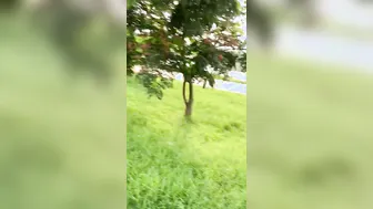 Risky Bhabhi Sucking Cock Outdoor In The Park For Quick Thrill