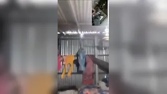 Slum GF Flashing Her Tits And Pussy For Her Boyfriend