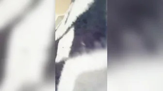 Newlywed Tamil Couple Filming Their First Homemade Sex Session