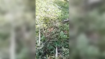 Tribal Wife Getting Fucked Hard Outdoors Behind The Village