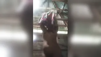 Village Girl Sending Naughty Nude Selfie To Her Ex BF