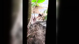 Married Bhabhi Next Door Washing Naked Caught On Hidden Camera