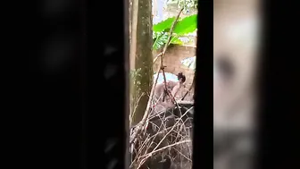 Married Bhabhi Next Door Washing Naked Caught On Hidden Camera