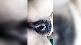 Fair Skinned GF Getting Naked On Video Call Going Viral