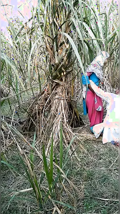 Married Village Bhabhi Caught Fucking Outdoors In Scandal