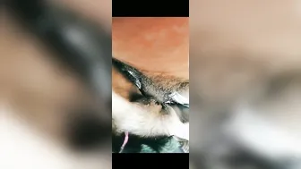 Tribal Babe Getting Pounded Outdoors Behind The Village