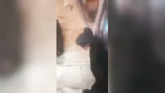 Village GF Slowly Removing All Her Clothes On Camera