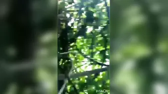 College Babe Getting Fucked Outdoors Behind Campus In South India