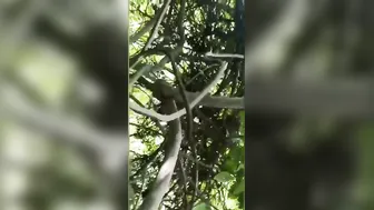 College Babe Getting Fucked Outdoors Behind Campus In South India