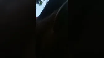 Mature Aunty Getting Pounded Hard In The Backyard After Sunset
