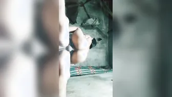 Desi Wife Fucked Hard Standing Up In Steamy Homemade Video