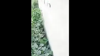 Teen GF Busted Having Risky Outdoor Sex With Boyfriend