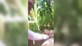 Taking Her Outside In The Fields For Wild Afternoon Session