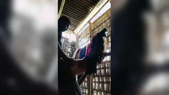 Horny Lovers Fucking Standing Up Against The Wall Desi Style