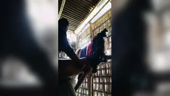Horny Lovers Fucking Standing Up Against The Wall Desi Style