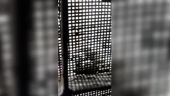 Village Bhabhi Bent Over Taking It Deep From Behind Viral Video