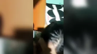 Bhabhi Sucking Her Man Dry Swallowing Every Drop On Camera