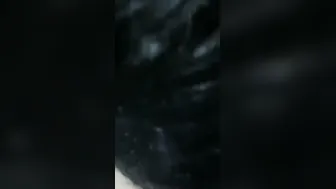 Unsatisfied Village Bhabhi Giving Secret Blowjob In Leaked Mms