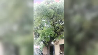 My Girl Bathing Naked Outdoors Getting Wet In The Countryside