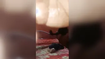 Tamil Milf Sharing Herself With Two Men While Husband Watches