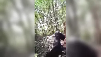 Village Girl Getting Fucked Hard By Boyfriend In The Jungle