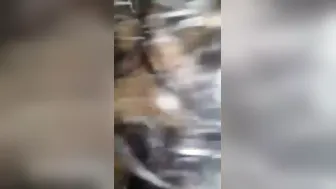 Bengali GF Sucking And Riding Me In Bedroom