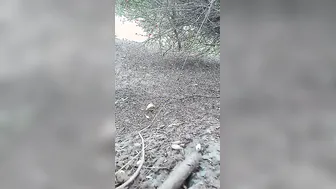 Village Bhabhi Getting Fucked Hard By Stranger Outdoors