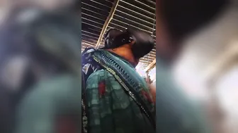 Village Whore Getting Quick Doggy Fuck From Paying Customer