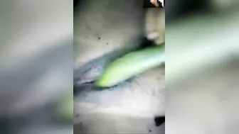 Village Bhabhi Pleasuring Herself With Cucumber In Bedroom