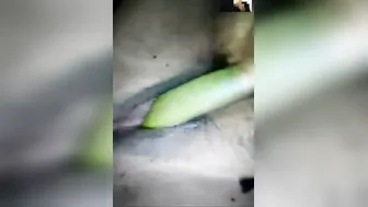 Village Bhabhi Pleasuring Herself With Cucumber In Bedroom