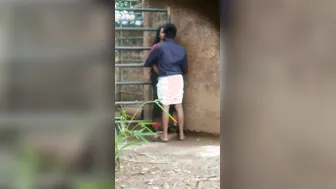 South Indian GF Jerking And Sucking Cock Outdoors On Film
