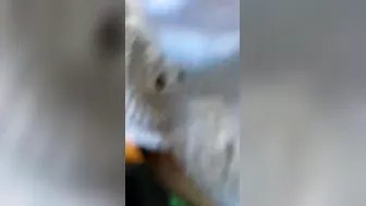 Desi Couple Fucking Quick And Hard Inside Parked Car