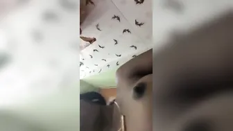 GF Sending Dirty Nude Selfie Video To Her Boyfriend