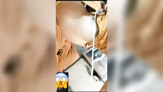 Desi GF Showing Her Pussy During Private Video Call