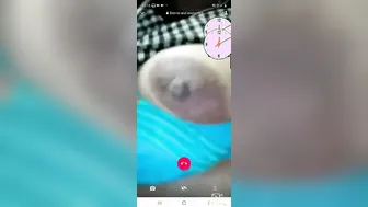 My Indian Gf Showing Her Tits And Pussy During Video Call