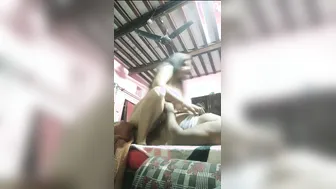 Chubby Bhabhi Getting Fucked Hard By Her Younger Brother Here