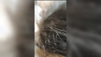 Local Randi Sucking Customer Cock In Leaked Private Video