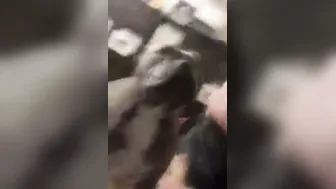 Thick Babe Spreading Her Plump Pussy Lips For The Camera Now