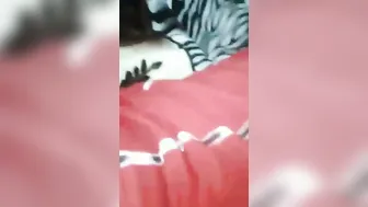 Cute Indian GF Showing Her Hairy Pussy Nude On Camera