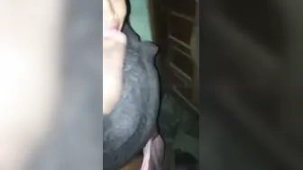 Bhabhi Sucking Him Off Then Bouncing On Top Till He Cums