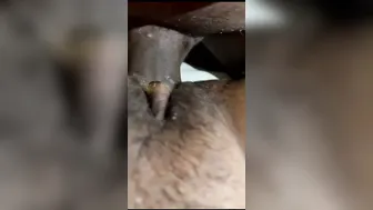 College Slut Getting Pounded Hard In A Cheap Hotel Room