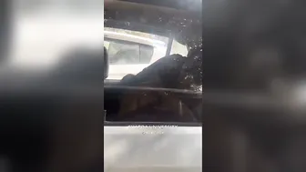 College Babe From Up Getting Nailed Hard Inside Parked Car