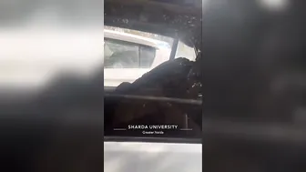 College Babe From Up Getting Nailed Hard Inside Parked Car