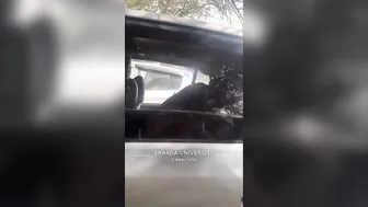 College Babe From Up Getting Nailed Hard Inside Parked Car